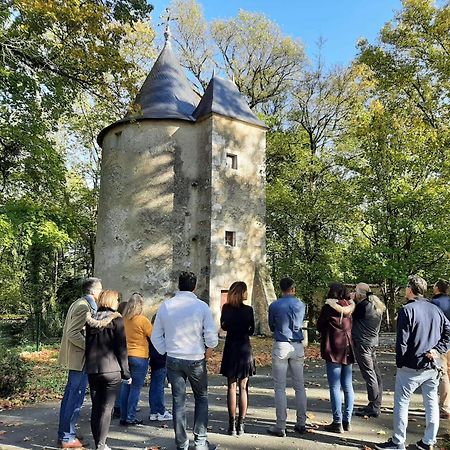 Chateau De Mornay Saint-Pierre-de-l'Isle Kültér fotó