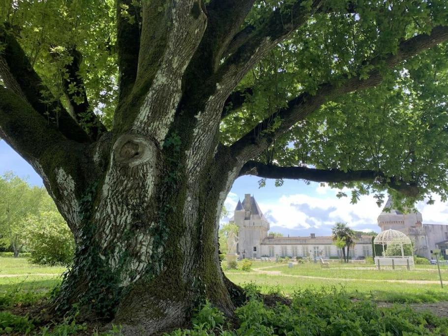 Chateau De Mornay Saint-Pierre-de-l'Isle Kültér fotó